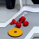 AX470 белая — гантели и диск здоровья