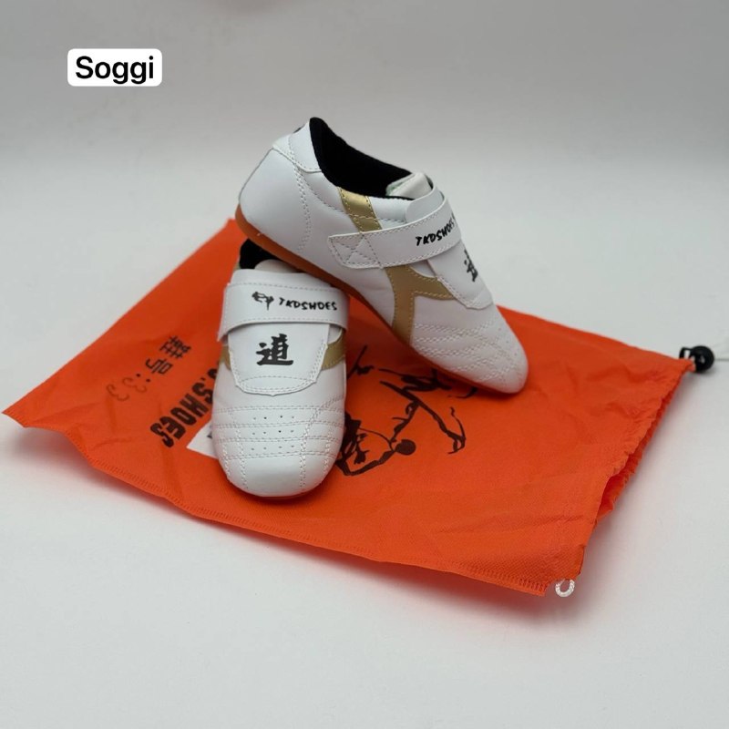 Soggi
