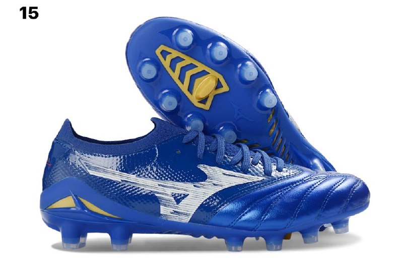 Butsi Mizuno