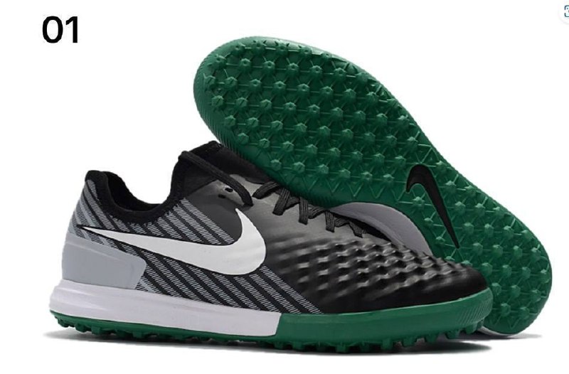 Sorokonojka magista